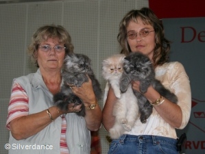 Silverdance Litter